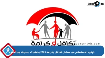 كيفية الاستعلام عن معاش تكافل وكرامة 2025 بخطوات بسيطة وواضحة